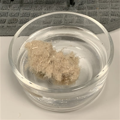 100% American Hemp Short Fiber, 0.5"