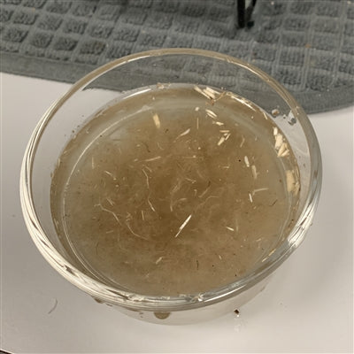 100% American Hemp Short Fiber, 0.5"