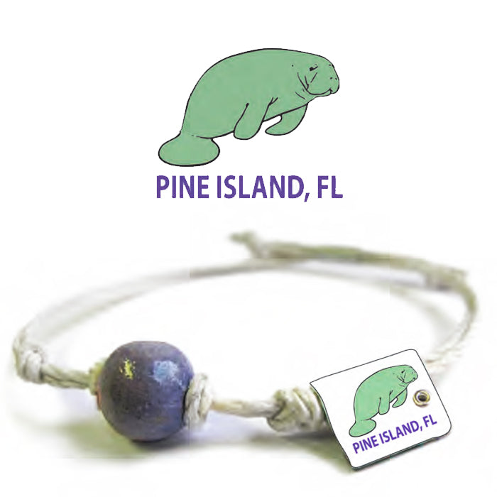 Manatee by Earth Bands