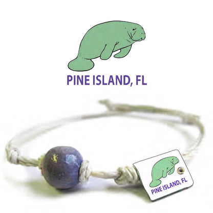 Manatee by Earth Bands