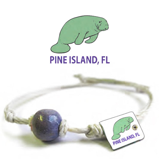 Manatee by Earth Bands