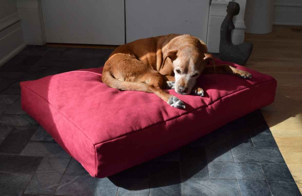 Hemp Dog Bed with CertiPUR-US Foam Fill