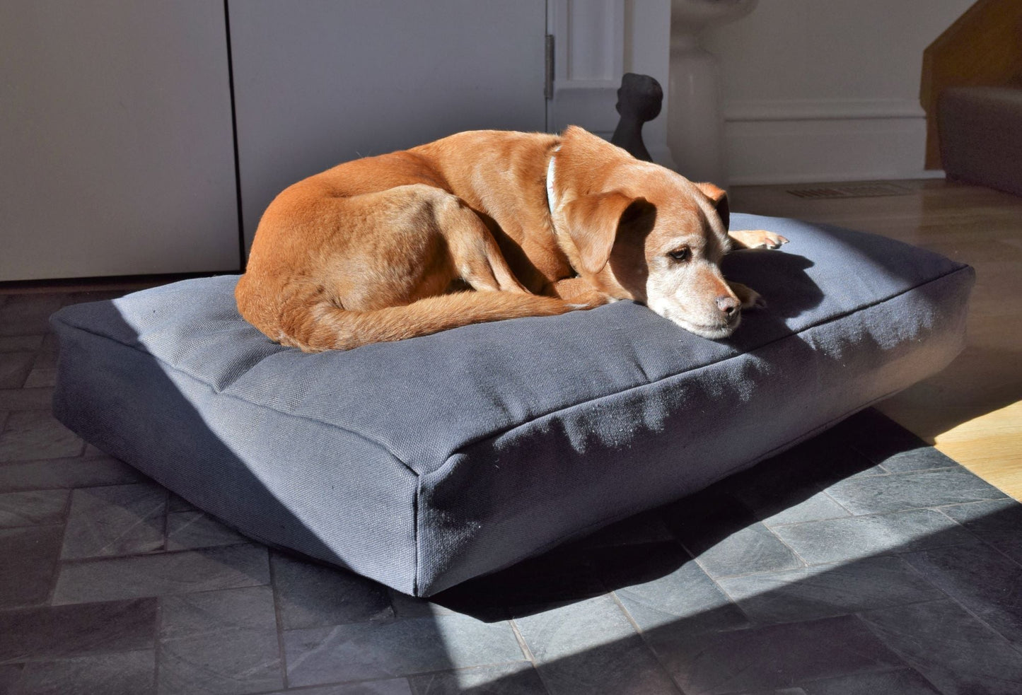 Hemp Dog Bed with CertiPUR-US Foam Fill