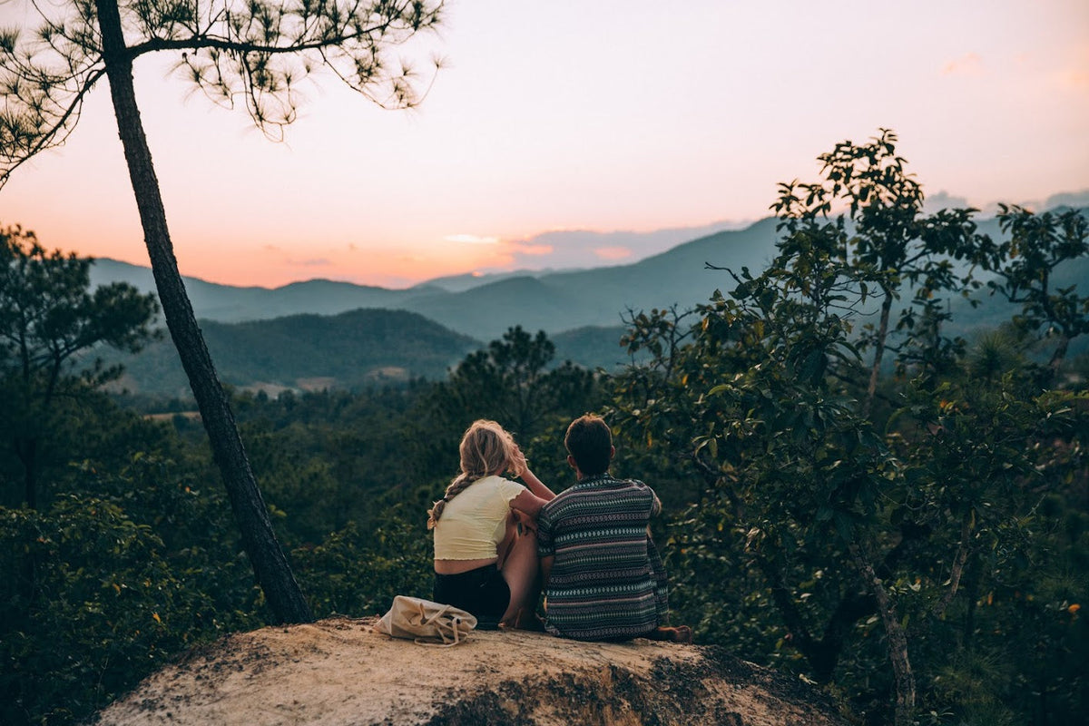 Mountain Life by Earth Bands — view 3