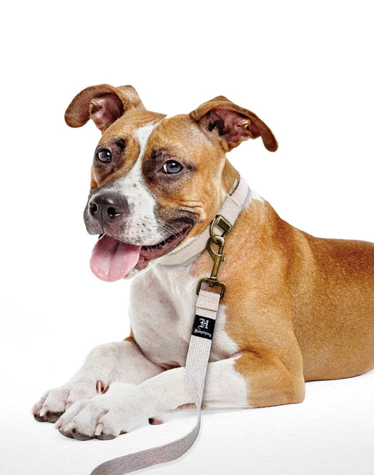 Hemp Canvas Dog Collars
