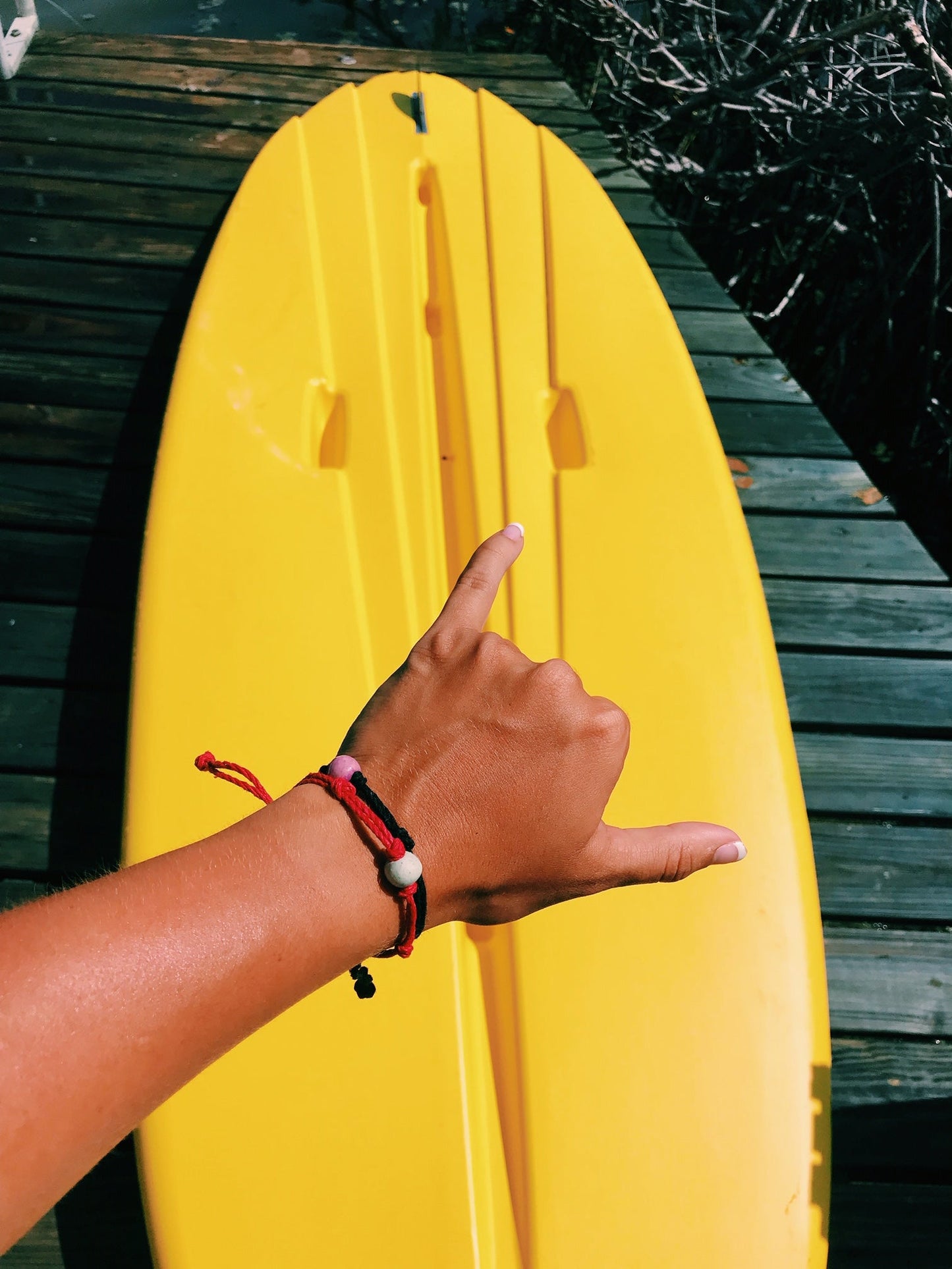 Manatee by Earth Bands — view 3