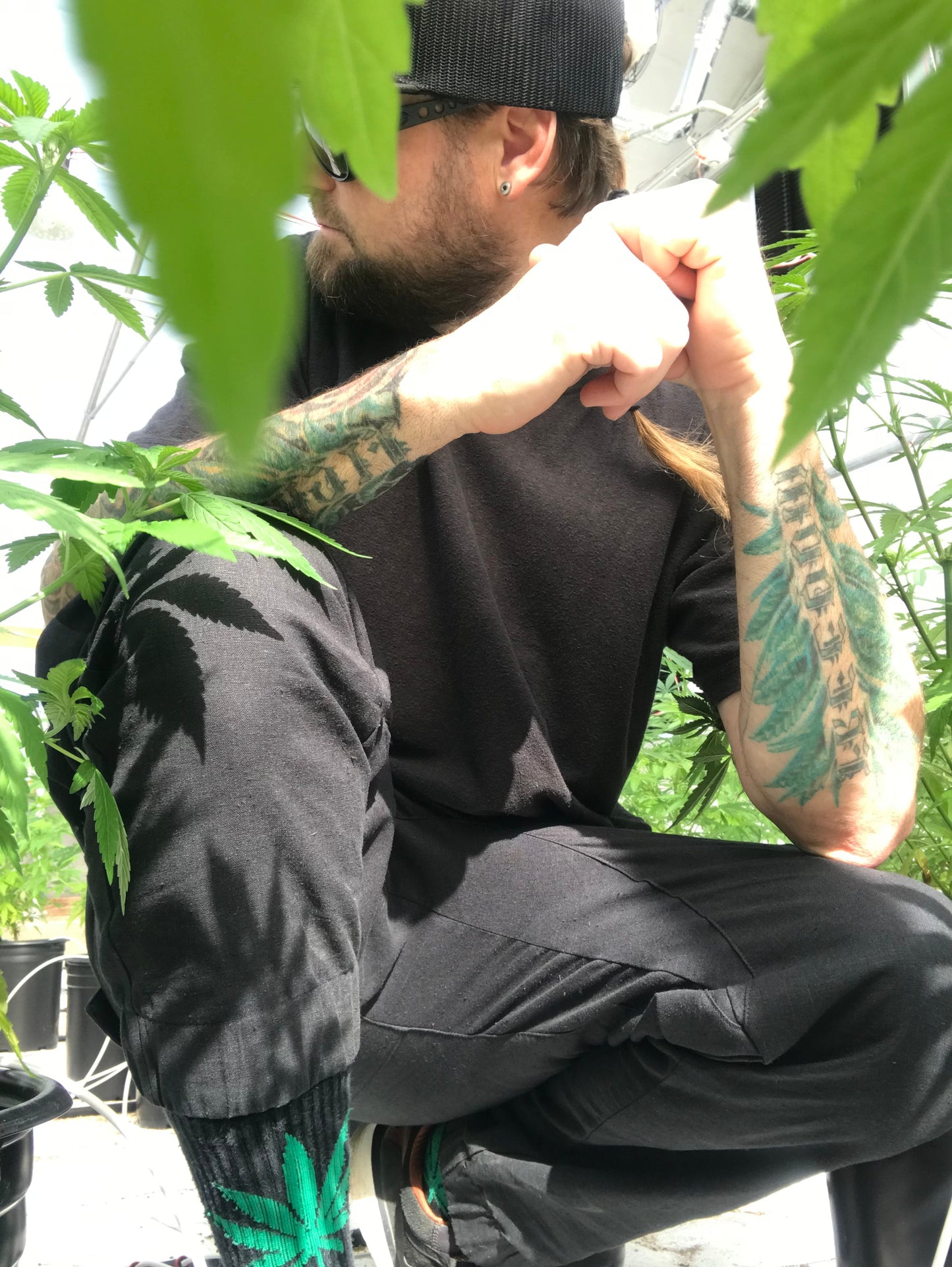 HEMP TREK PANTS