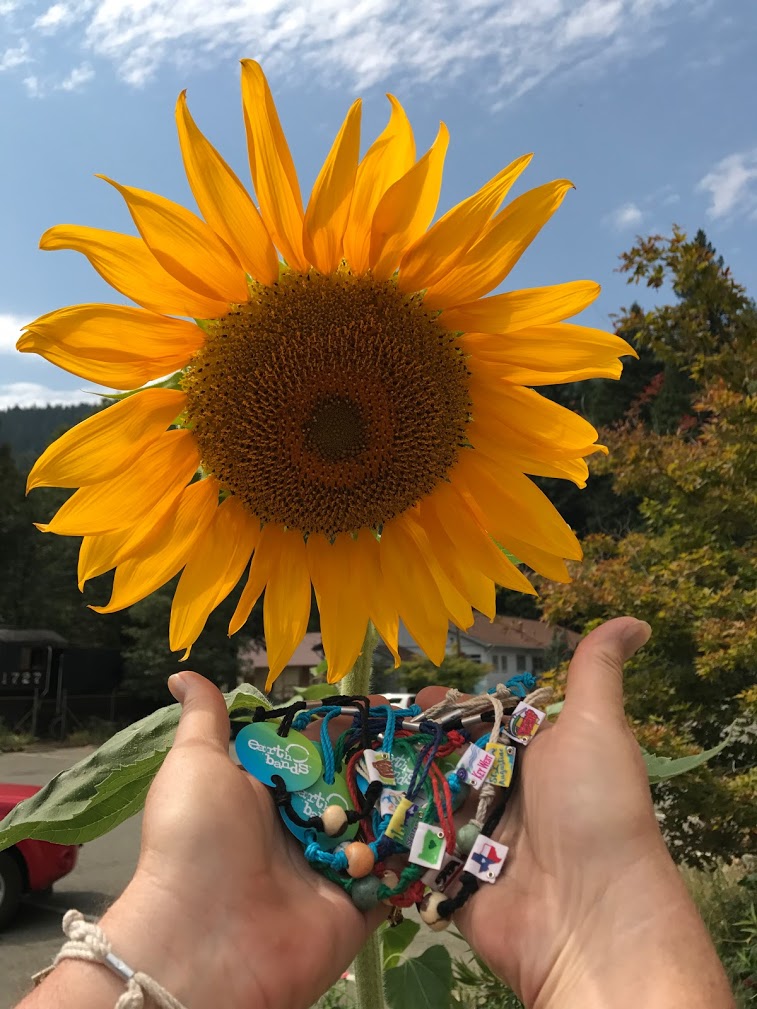 Bee Happy by Earth Bands — view 2