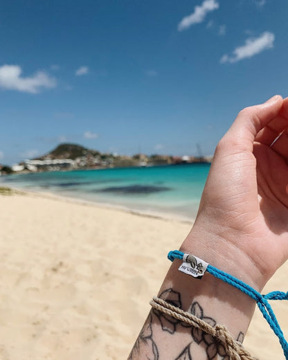 My Whale by Earth Bands — view 2